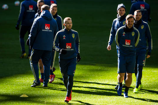 Sweden's Sebastian Larsson