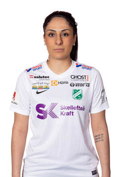 Moröns Parva Zarassi