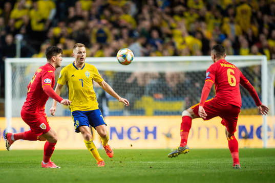 Cristian Sapunaru of Romania and Sebastian Larsson of Sweden