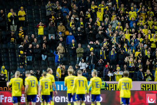 Fan of Sweden celebrates