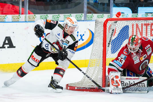 Malmö Redhawks Emil Sylvegård utmanar Frölundas målvakt