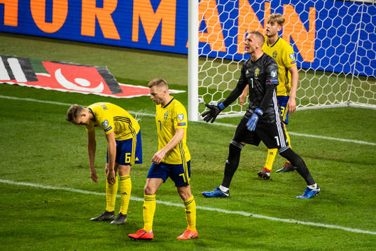 Ludwig Augustinsson, Sebastian Larsson, goalkeeper Robin