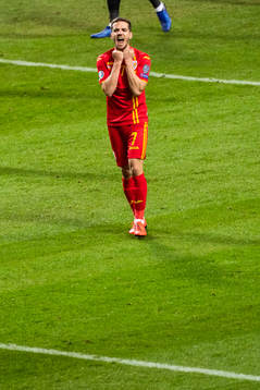 Alexandru Chipciu of Romania looks dejected