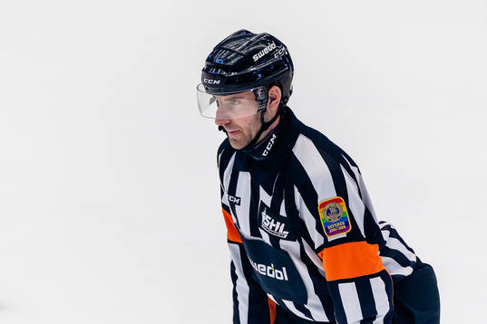 Domare Mikael Sjöqvist