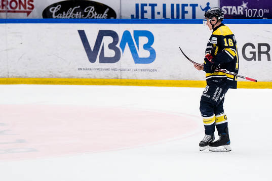 s Markus Ljungh deppar