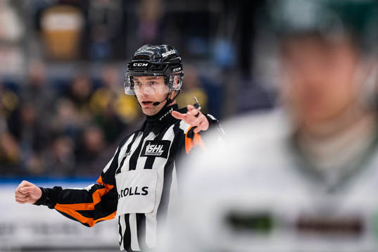 Domare Mikael Andersson