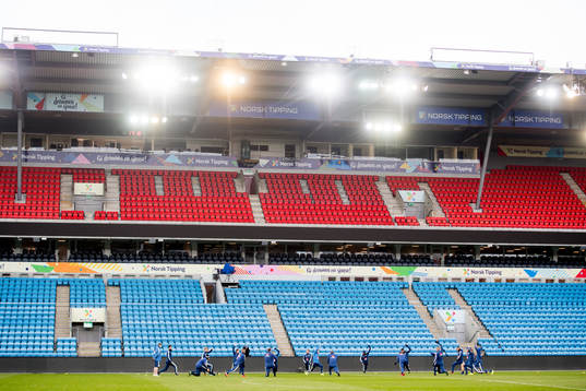 General view of the Swedish national football team
