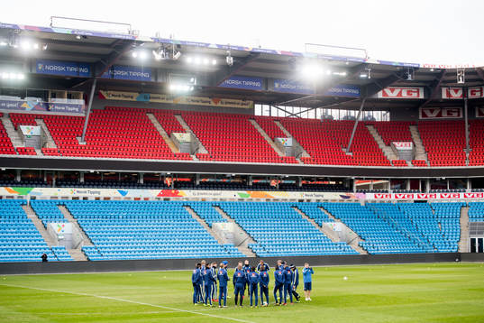 General view of the Swedish national football team