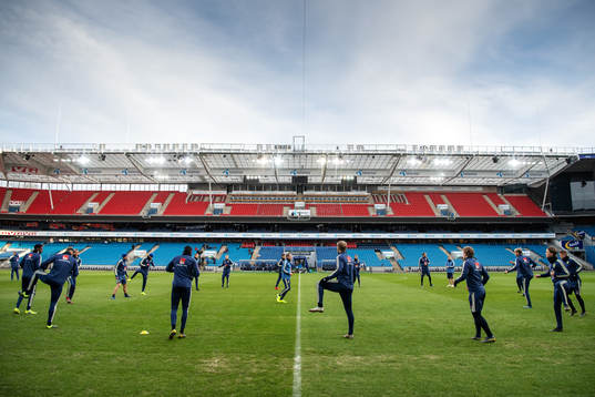 General view of the Swedish national football team
