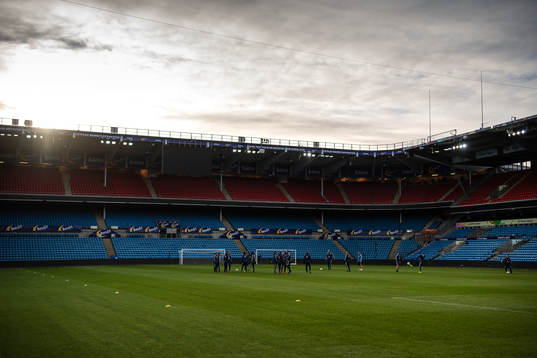 General view of the Swedish national football team