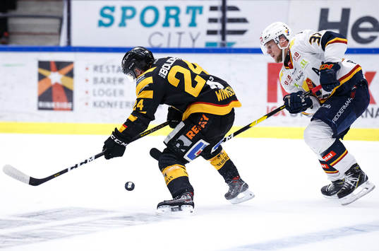 Skellefteås Andreas Wingerli och Djurgårdens Jesper