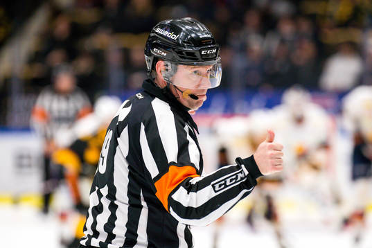 Domare Wolmer Edqvist