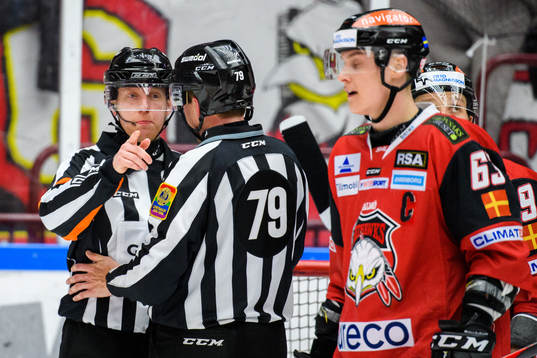 Domare Mikael Holm