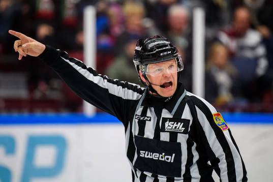 Domare Ludvig Lundgren