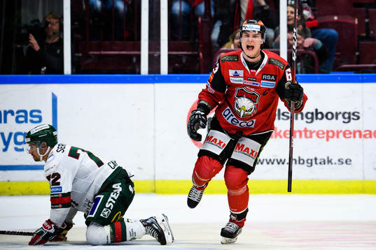 Malmö Redhawks Fredrik Händemark jublar