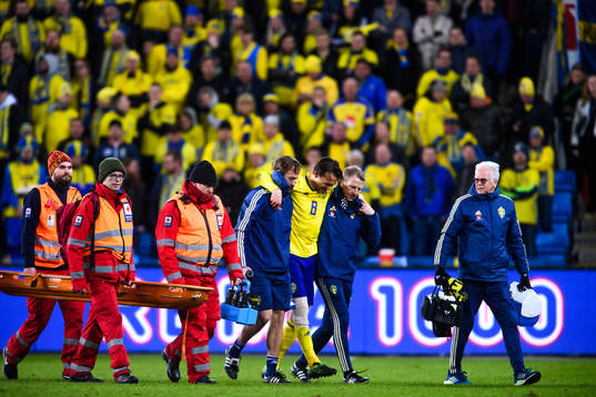 Albin Ekdal of Sweden leaves the pitch