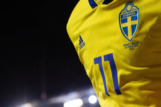 The logo of the Swedish Football Federation is seen