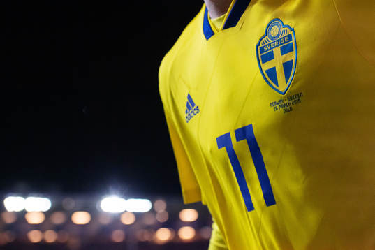 The logo of the Swedish Football Federation is seen