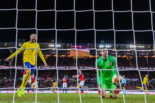 Marcus Berg of Sweden celebrates