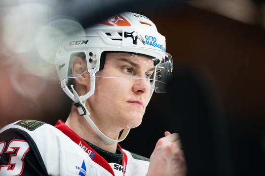 Malmö Redhawks Fredrik Händemark