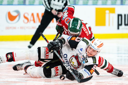 Malmö Redhawks Fredrik Händemark och Frölundas Joel