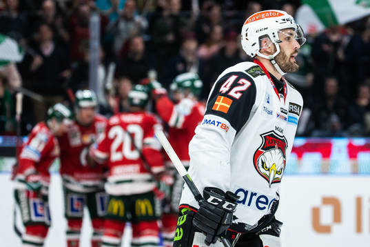 Malmö Redhawks Niklas Arell deppar