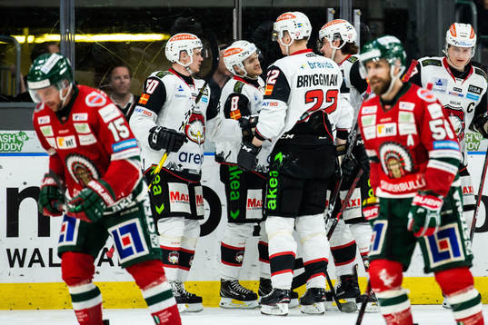 Malmö Redhawks spelare jublar