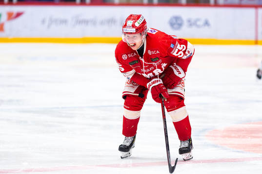 Timrås Vilmos Gallo grinar illa