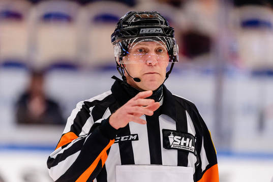 Domare Morgan Johansson