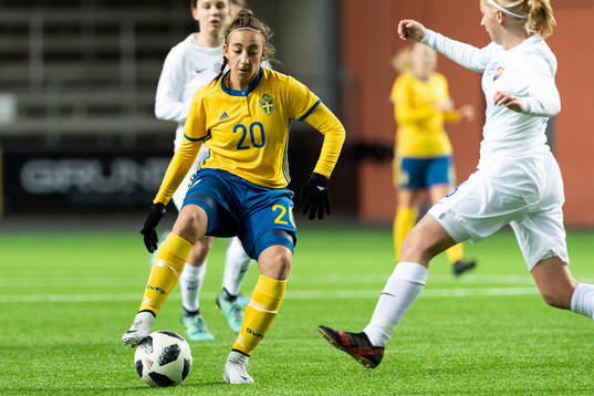 Sveriges Rusul Rosa Kafaji