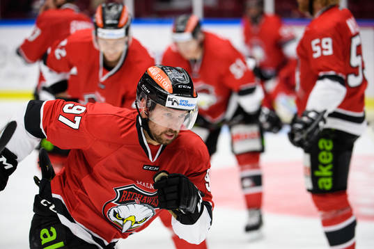 Malmö Redhawks Per Ledin