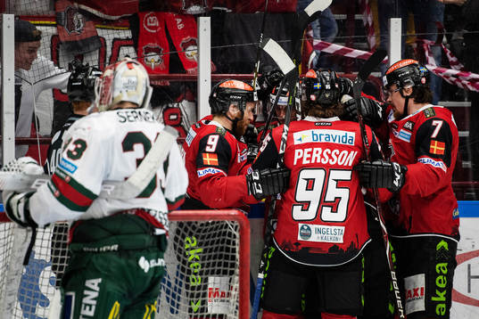 Malmö Redhawks spelare jublar