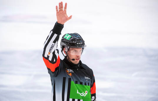 Domare Johan Magnusson