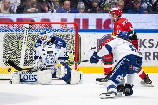 Leksands målvakt Axel Brage