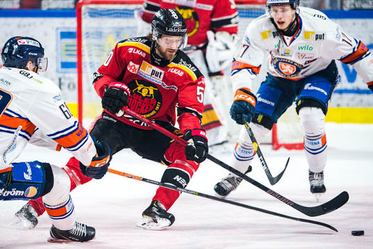 Luleås Daniel Sondell