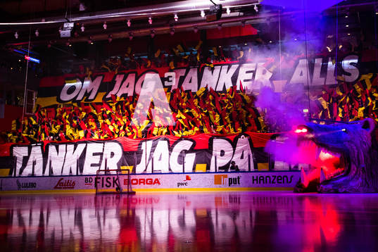Luleås supportrar med tifo