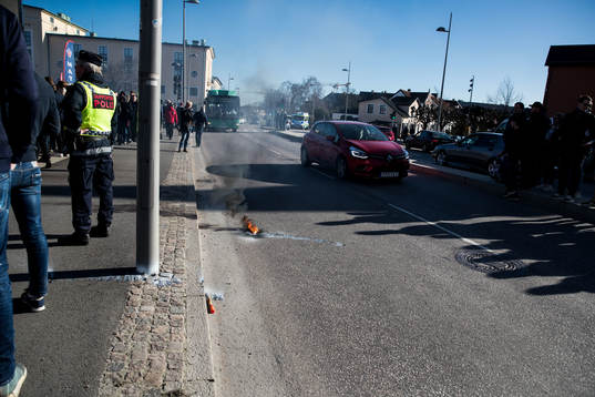 Bengal slängd på marken
