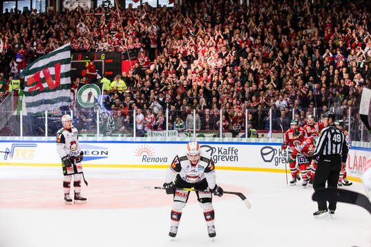 Malmö Redhawks Konstantin Komarek deppar