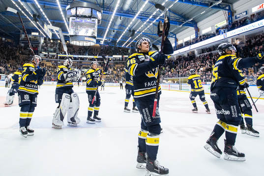 Spelare ur HV71 jublar