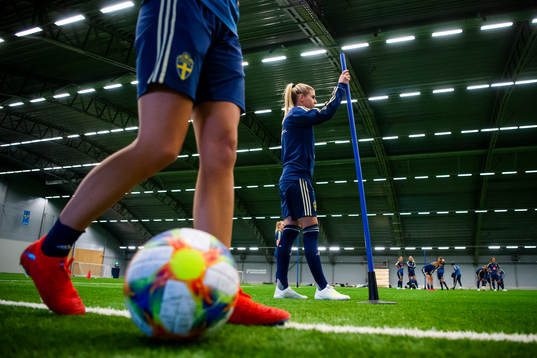 Players of the Swedish women national football team