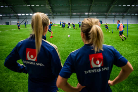 Players of the Swedish women national football team
