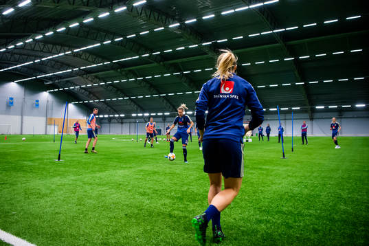 Players of the Swedish women national football team