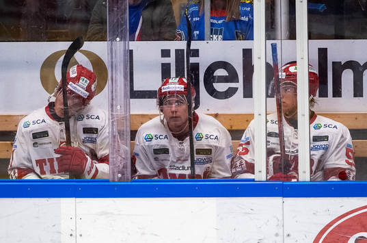 Timrås Alexander Falk, Rickard Palmberg och Vilmos Gallo