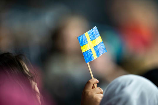Sweden flag