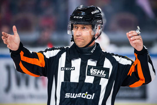 Domare Sören Persson