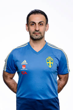 Ali Kad, Doctor of the Swedish women national football team