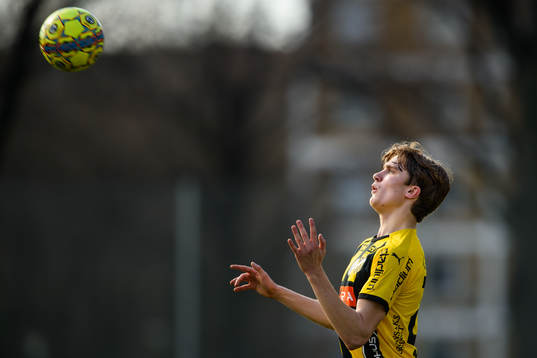 Häckens Jakob Hedenquist