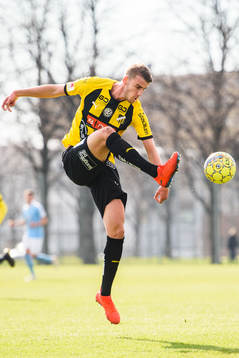 Häckens Johan Hammar
