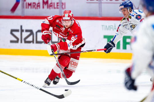 Timrås Filip Hållander