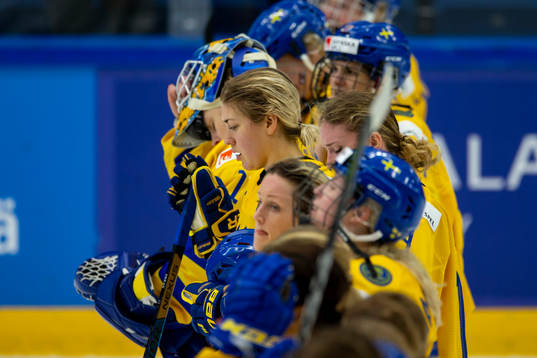 Disappointed Swedish players
